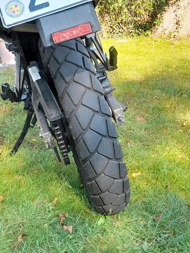 Honda Dominator NX 650 (RD 08) in Saatel