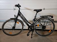 Damenrad Fahrrad Triumph TS 71 28 Zoll Niedersachsen - Meinersen Vorschau