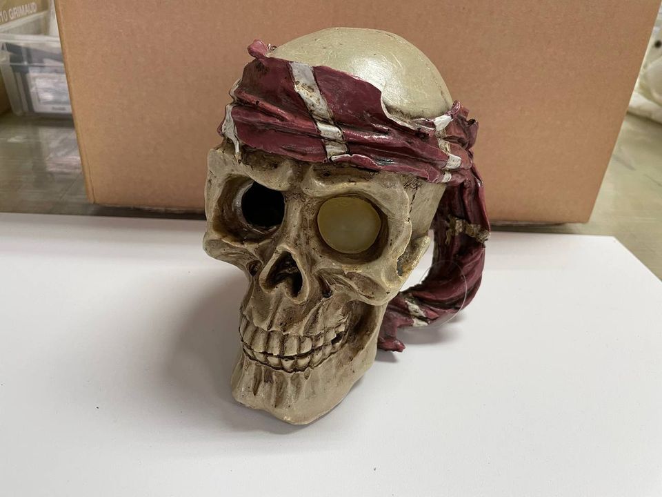 Totenkopf Skull Deko Kunststoff klein in Nordrhein-Westfalen