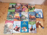Pferdebücher je 1€ Ponys Reiten Pferde Kinderbücher Ponyhof Niedersachsen - Diekholzen Vorschau