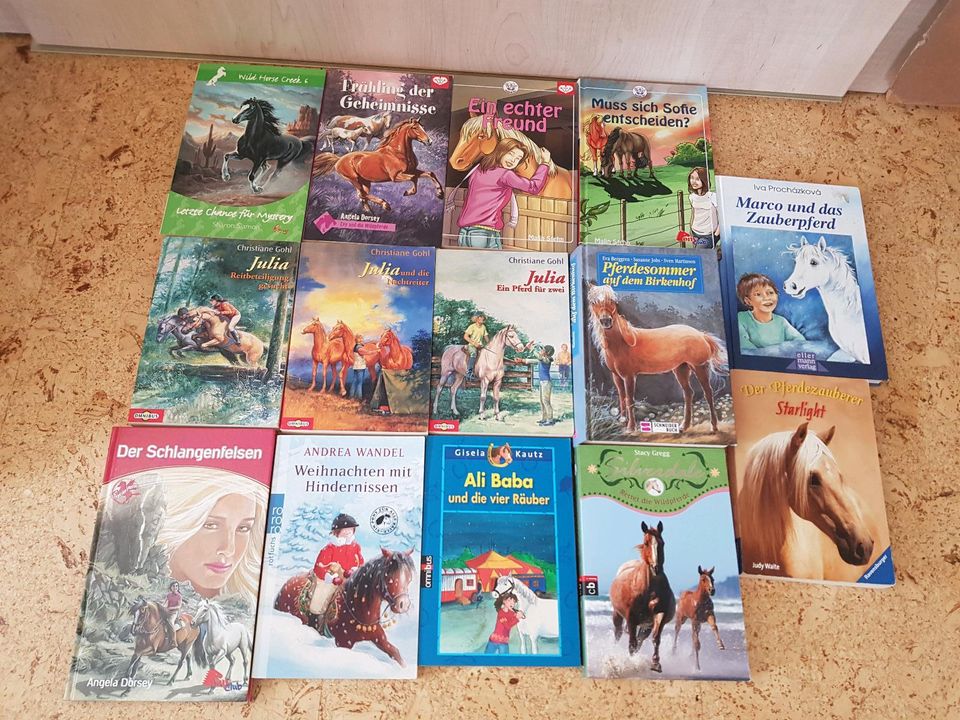 Pferdebücher je 1€ Ponys Reiten Pferde Kinderbücher Ponyhof in Diekholzen