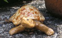 Schildkröte braun glasierte Keramik Deko Figur 25 cm Hamburg Barmbek - Hamburg Barmbek-Süd  Vorschau