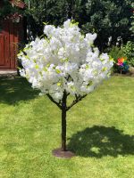 Kirschbäume MIETEN Kirschbaum weiß Deko Hochzeit Hochzeitsdeko Köln - Pesch Vorschau