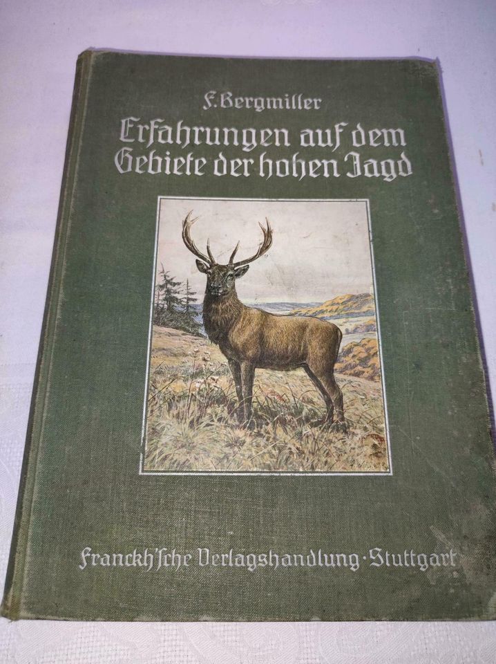 Erfahrungen auf dem Gebiete der hohen Jagd 1912 in Floh-Seligenthal-Kleinschmalkalden