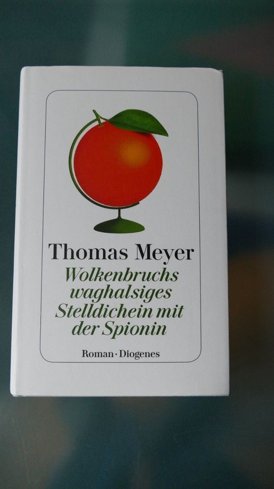 Thomas Meyer, Diogenes, Wolkenbruchs... in Mainz