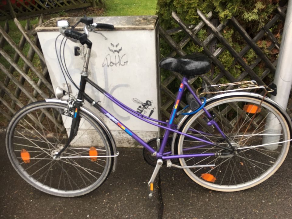 Damen Vintage Fahrrad 28” in Tübingen