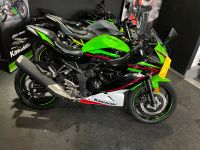 Kawasaki Ninja 125 Neufahrzeug Bayern - Nüdlingen Vorschau