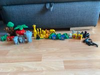 Lego Duplo Zoo Wildtiere Zootiere Tiere 35 Stück TOP Kindertag Dresden - Striesen-West Vorschau