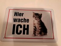 Katzenspielzeug Thüringen - Friedrichroda Vorschau
