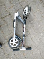 Scooter Big Wheel, Tretroller Friedrichshain-Kreuzberg - Kreuzberg Vorschau