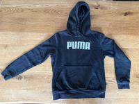 Hoody von Puma Größe M neuwertig Nordrhein-Westfalen - Wesseling Vorschau