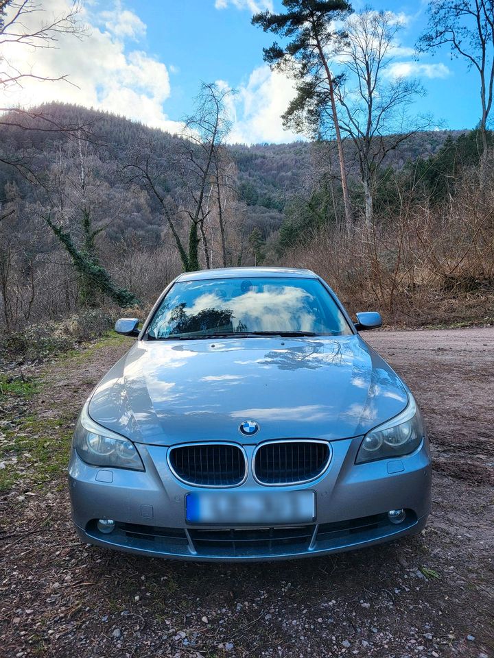 BMW 525i Super Zustand in Landau in der Pfalz