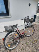 Fahrrad 28 Zoll Hessen - Feldatal Vorschau