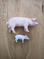 Schleich Bauernhof Schwein und Ferkel Nürnberg (Mittelfr) - Oststadt Vorschau