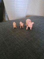 Playmobil Schwein mit Babys Nordrhein-Westfalen - Nümbrecht Vorschau