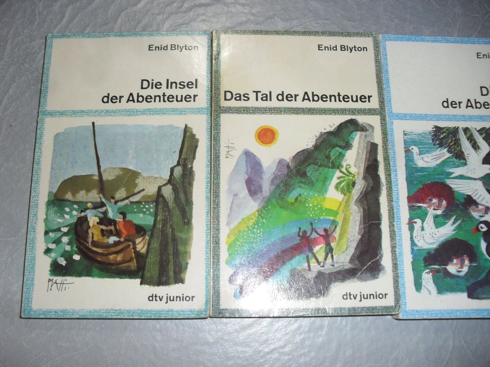 Blyton, Abenteuer - Insel, Tal, See, Burg - dtv junior / ab 9 J. in Bacharach