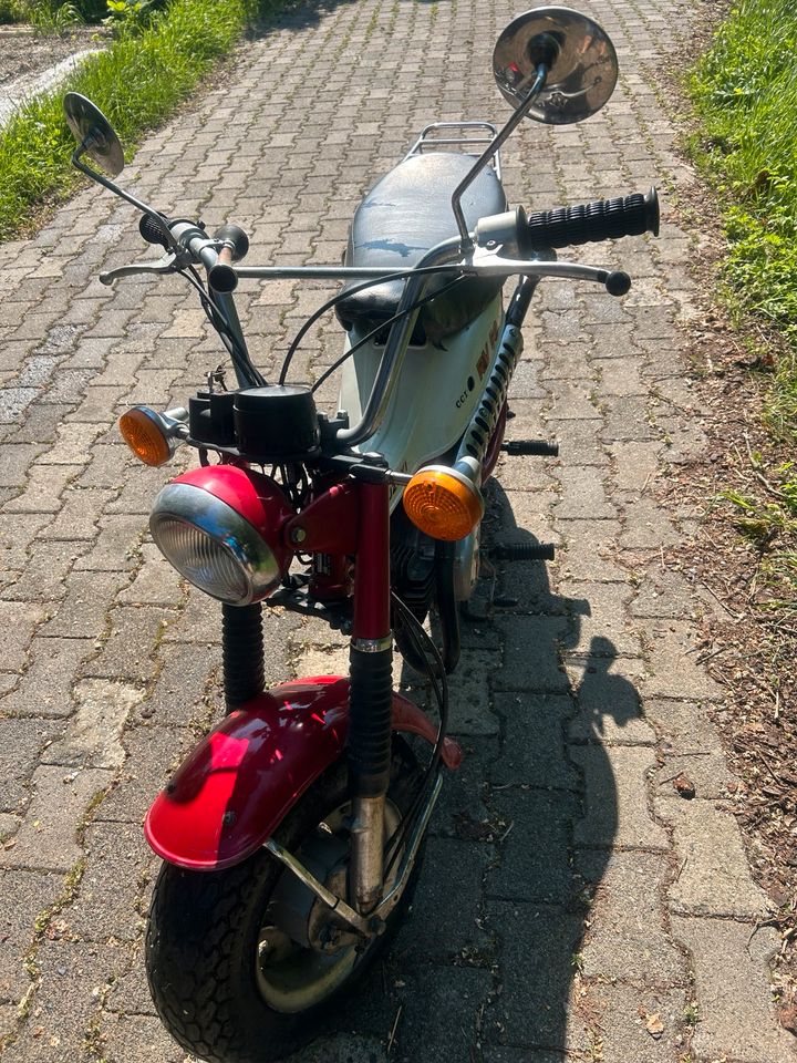 Garagenfund Suzuki RV 50 Oldtimer. in Untersiemau