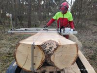 Mobiles Sägewerk, Sägewerk mit der Kettensäge Brandenburg - Eberswalde Vorschau