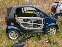 Smart Cabrio Schlachtfest Ersatzteile Teileträger Teilelager (112 Niedersachsen - Delmenhorst Vorschau