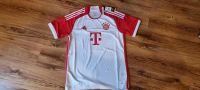 FC Bayern München Trikot neu Bayern - Kelheim Vorschau