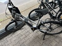 E-Bike Trenoli Brenta Göße L Bosch Sonderpreis Hessen - Birstein Vorschau