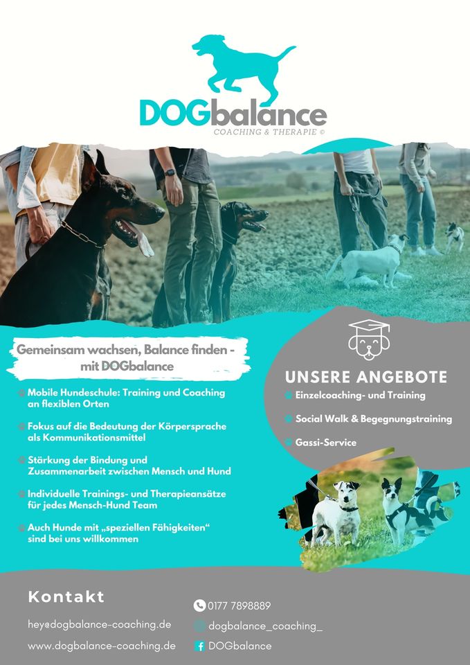 mobile Hundeschule Training und Coaching in Schramberg