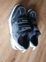 Original Geox Sport Schuhe,  Größe 35 Nordrhein-Westfalen - Wermelskirchen Vorschau