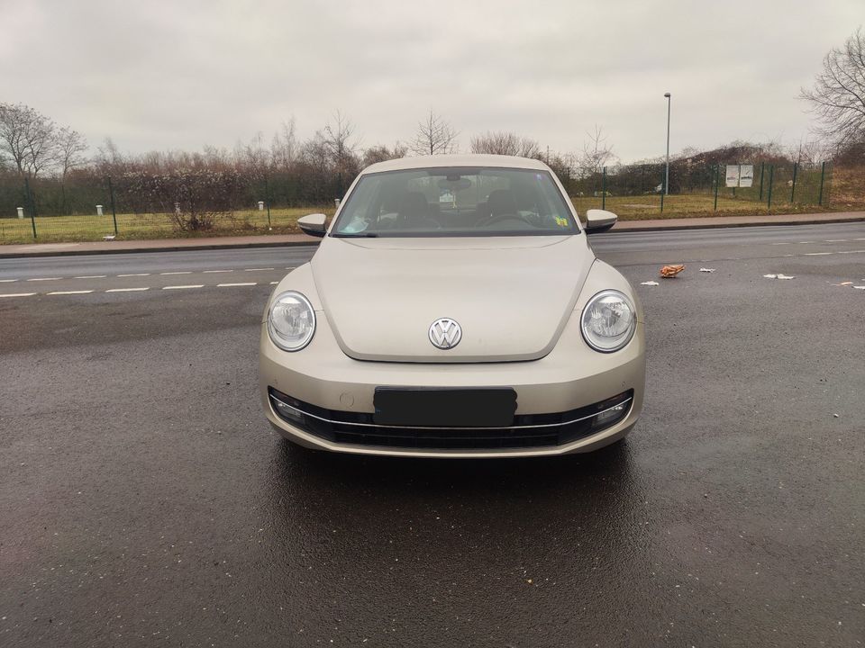 VW Beetle, 2014 in Euskirchen