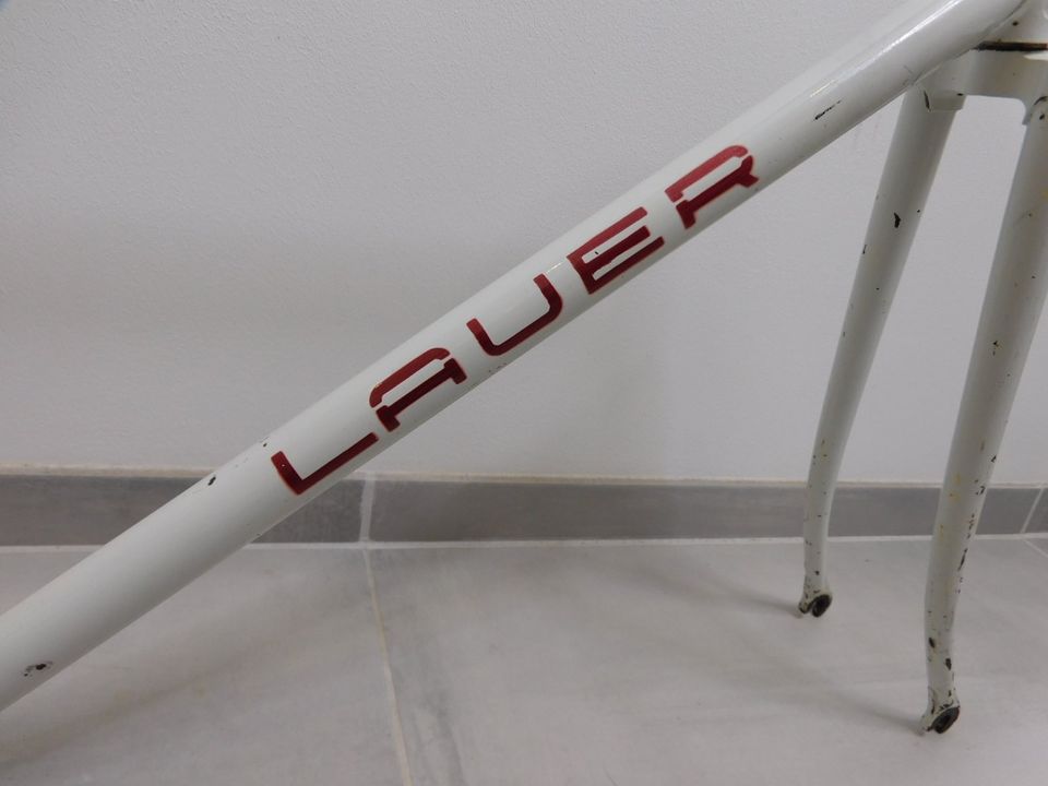 Bahnrad / Pista / Track "Claus Lauer" Campagnolo RH 53 cm in Dortmund