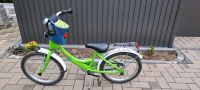 Puky Fahrrad 16 Zoll Nordrhein-Westfalen - Minden Vorschau