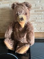 Alter Teddy mit 5 Fach  Gelenken Schleswig-Holstein - Groß Vollstedt Vorschau