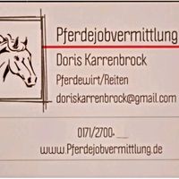 Pferdeerfahrener Stallhelfer gesucht Schleswig-Holstein - Reinbek Vorschau