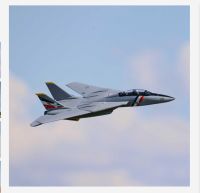 E-Flite F-14 Tomcat Baden-Württemberg - Schwäbisch Hall Vorschau