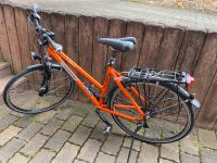 STEPPENWOLF Fahrrad orange Rheinland-Pfalz - Niederkirchen Vorschau