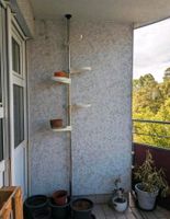 Blumenampel. Ideal für Balkon oder Wohnung, Garten Küche Kräuter Chemnitz - Kaßberg Vorschau