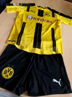 BVB T-shirt/Hose Sachsen - Chemnitz Vorschau