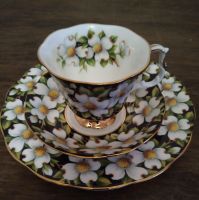 Sammeltasse Royal Albert Provincial Flowers Dogwood Hessen - Otzberg Vorschau