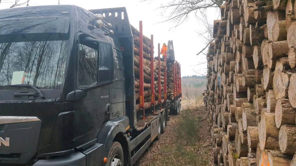 Stammholz Fichte Käferfichte Lkw geliefert Poltern Brennholz in Gladenbach