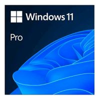 Windows 11 Pro Baden-Württemberg - Plankstadt Vorschau