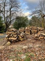 Kaminholz / Brennholz Buche Nordrhein-Westfalen - Bad Honnef Vorschau