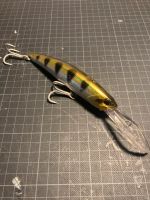 DUO REALIS Fangbait 140 DR, Wobbler, wie Daiwa, Megabass Bayern - Wolfratshausen Vorschau