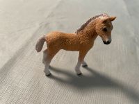 Schleich Bashkir Curly Fohlen 2015 Sammler Rarität selten Baden-Württemberg - Lenningen Vorschau