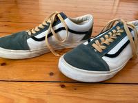 Vans Old Skool Gr.46 Sneaker Schuhe Niedersachsen - Osnabrück Vorschau
