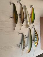 Wobbler Illex,Megabass Nordrhein-Westfalen - Welver Vorschau