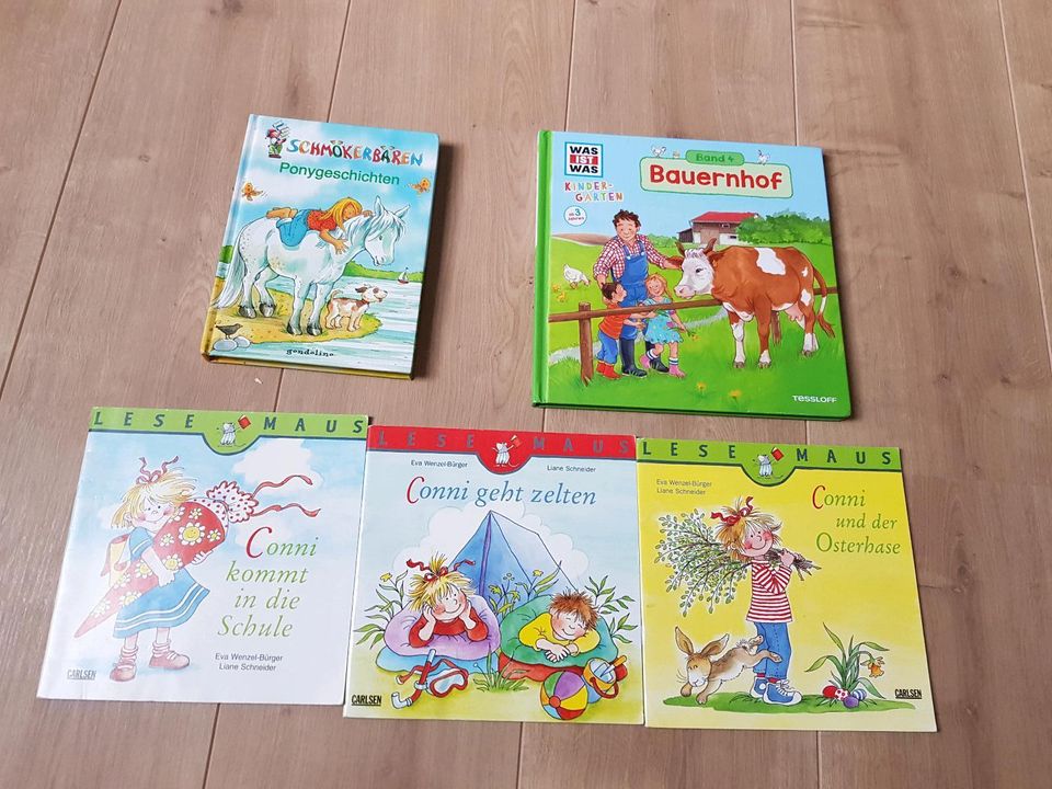 Kinderbücher Was ist was, Conni, Ponygeschichten in Zetel