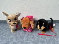 Hund Spiel Animagic Waggles & IMC Lucy Club & chi chi love Simba Baden-Württemberg - Kernen im Remstal Vorschau
