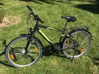 Mountainbike Fahrrad Pegasus, 26 Zoll, 21 Gang Shimano Bayern - Vohburg an der Donau Vorschau