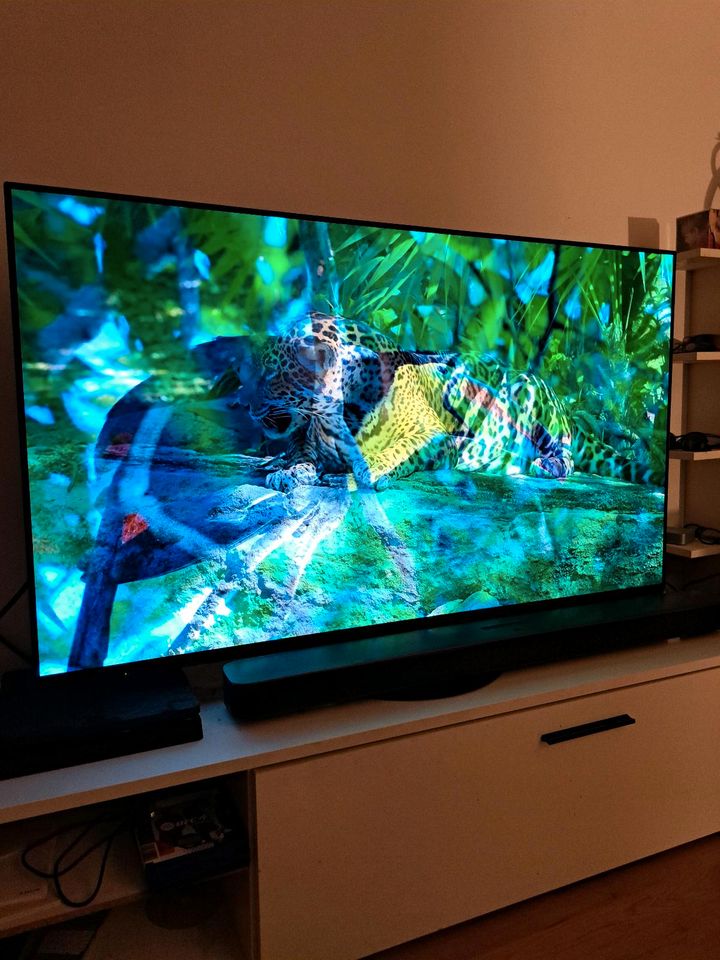 Panasonic TX-55HZW984 Oled Smart TV 55 Zoll in Kaufbeuren