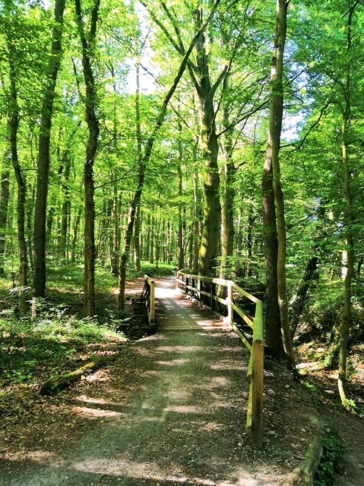 Waldgrundstück zu pachten gesucht in Hiddenhausen