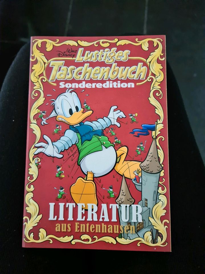 Walt Disney Taschenbuch in Dardesheim